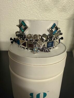 Silver Tone Blue Crystal Dragon Charm Bracelet Set